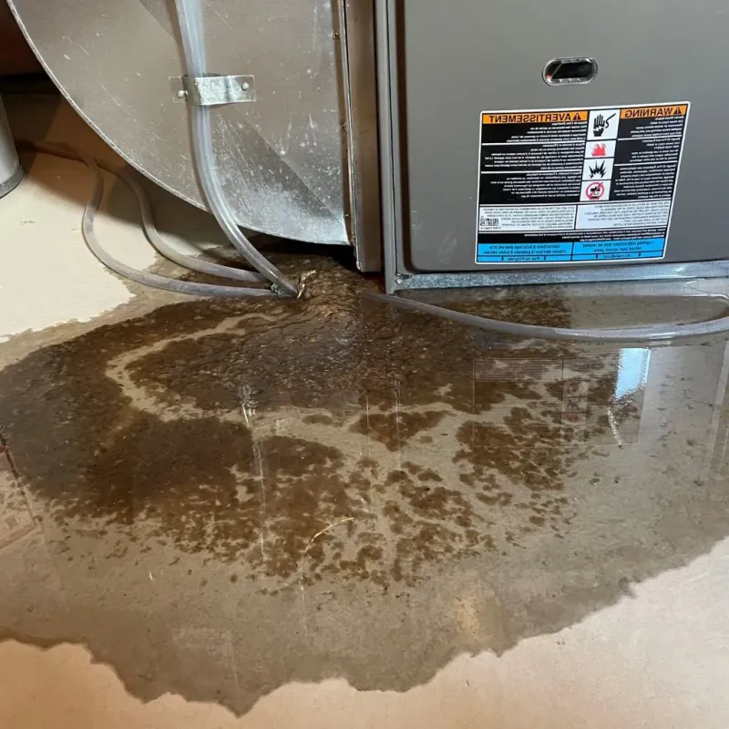 Pipe Burst and Leak Restoration in Passaic, NJ