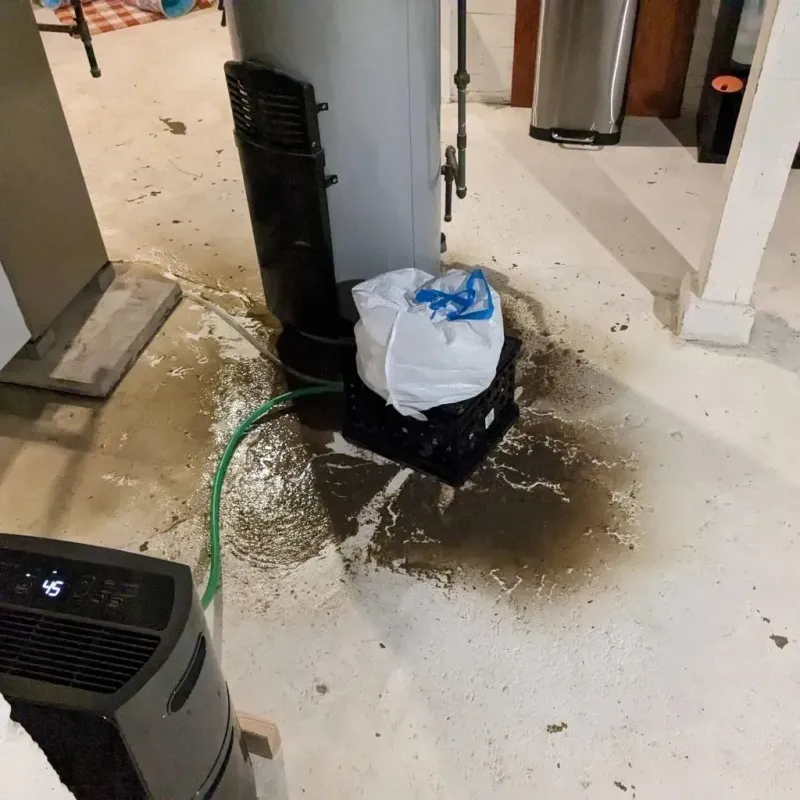 Sewage Backup Cleanup Service in Passaic, NJ